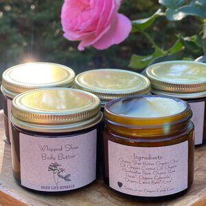 Organic Whipped Shea Butter 2oz. - Herbal Infused Natural Skincare